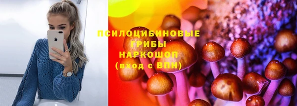стаф Киреевск