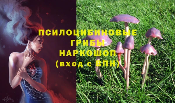 spice Шарыпово