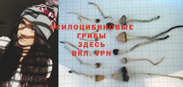 молекула духа Киренск