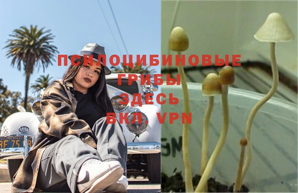 стаф Киреевск