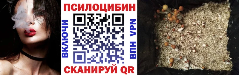 Купить закладки  Кулебаки  Галлюциногенные грибы мухоморы 